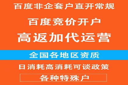 SEM代理的优化策略及成功案例